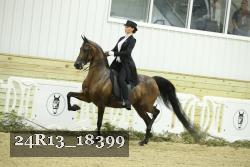 24R13_18399 thumbnail