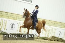 24R13_18400 thumbnail