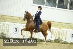24R13_18401 thumbnail