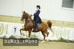 24R13_18402 thumbnail