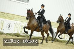 24R13_18403 thumbnail