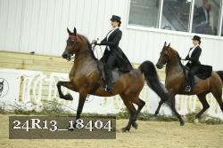 24R13_18404 thumbnail