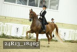 24R13_18405 thumbnail