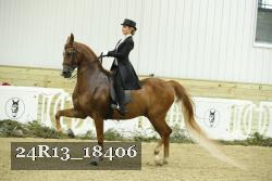 24R13_18406 thumbnail