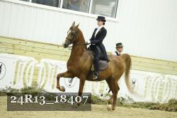 24R13_18407 thumbnail