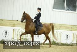 24R13_18408 thumbnail