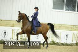 24R13_18409 thumbnail