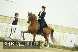 24R13_18410 thumbnail