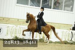 24R13_18411 thumbnail