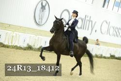 24R13_18412 thumbnail