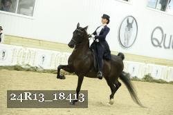 24R13_18413 thumbnail