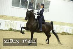 24R13_18414 thumbnail