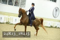 24R13_18415 thumbnail