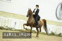 24R13_18416 thumbnail