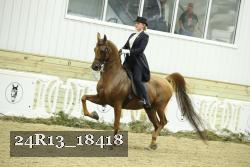 24R13_18418 thumbnail