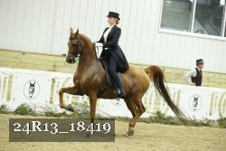24R13_18419 thumbnail