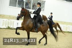 24R13_18421 thumbnail