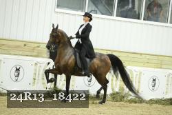 24R13_18422 thumbnail