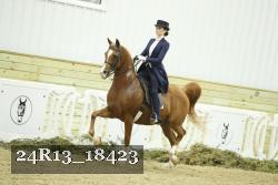 24R13_18423 thumbnail