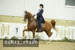 24R13_18426 thumbnail