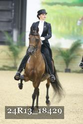 24R13_18429 thumbnail