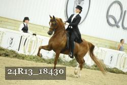 24R13_18430 thumbnail