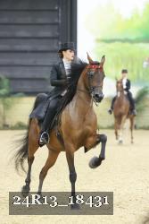 24R13_18431 thumbnail
