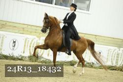 24R13_18432 thumbnail