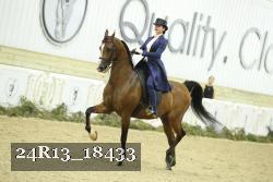24R13_18433 thumbnail