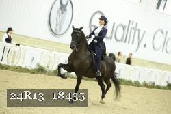 24R13_18435 thumbnail