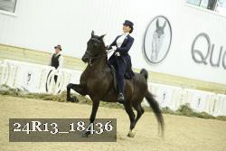 24R13_18436 thumbnail