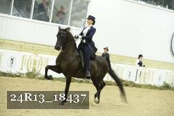 24R13_18437 thumbnail