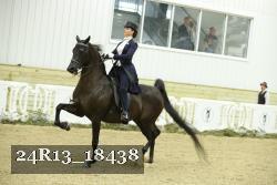 24R13_18438 thumbnail