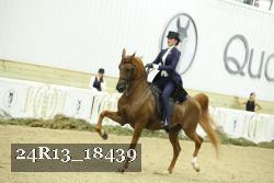 24R13_18439 thumbnail