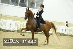 24R13_18442 thumbnail