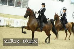24R13_18443 thumbnail