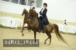 24R13_18444 thumbnail