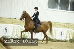 24R13_18445 thumbnail