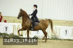 24R13_18446 thumbnail