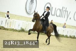 24R13_18447 thumbnail