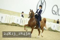 24R13_18450 thumbnail
