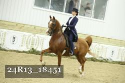 24R13_18451 thumbnail