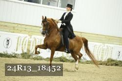 24R13_18452 thumbnail