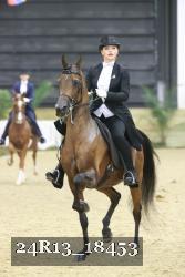 24R13_18453 thumbnail
