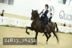 24R13_18454 thumbnail