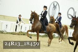 24R13_18459 thumbnail