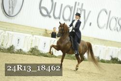 24R13_18462 thumbnail
