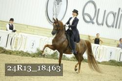 24R13_18463 thumbnail