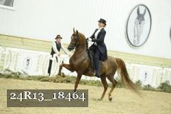 24R13_18464 thumbnail