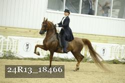 24R13_18466 thumbnail